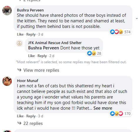 WOW 360|Social Media Outraged Over Kitten Allegedly 'Raped' in Lahore, Pakistan