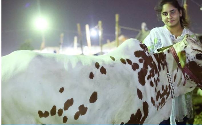 WOW 360|Ayesha Ghani: Proudly Challenging Gender Roles By Selling Cows at Cattle Market, Karachi