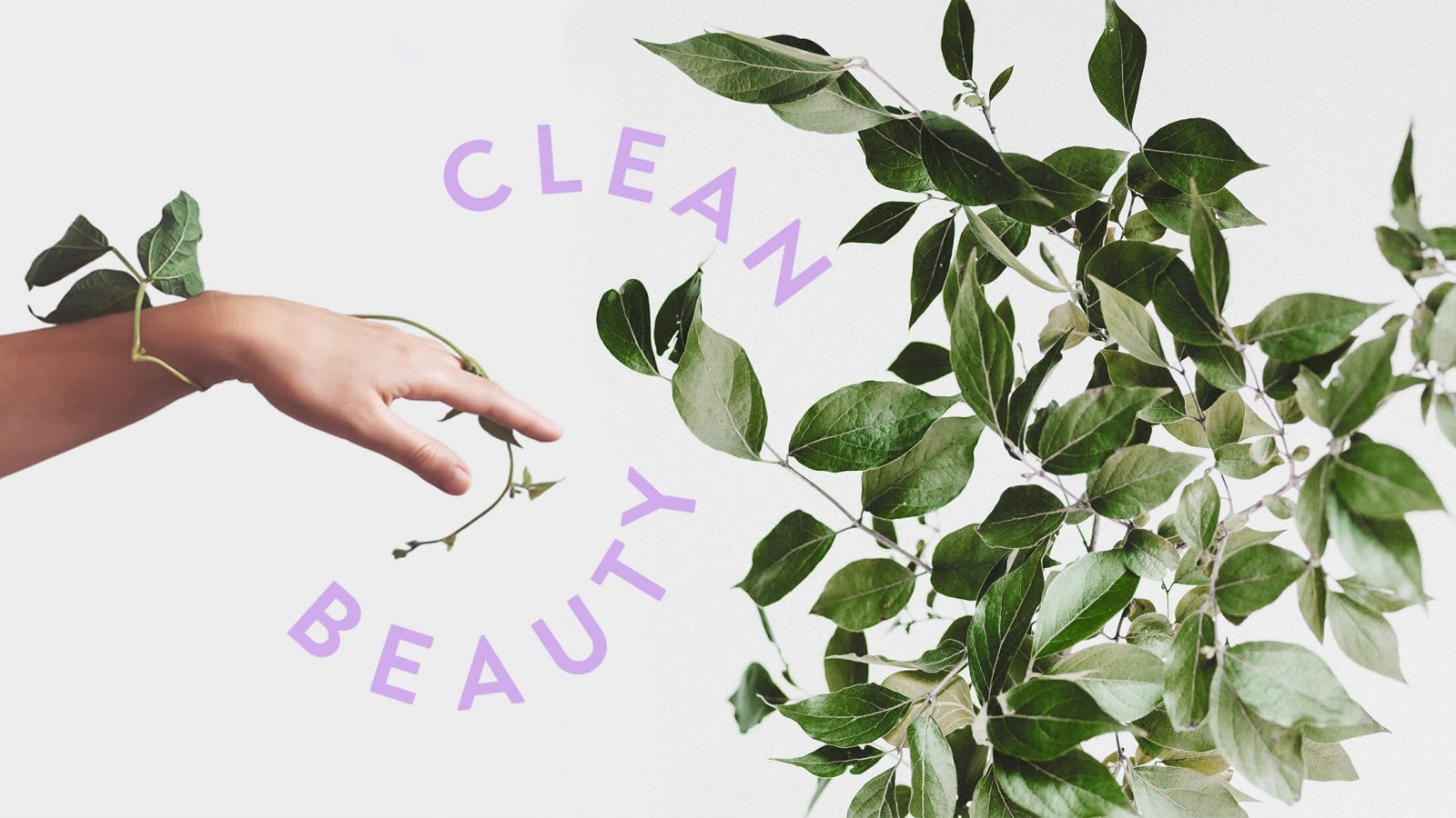 WOW 360|Trend Alert: All You Need To Know About the 'Clean Beauty' Trend in 2020!