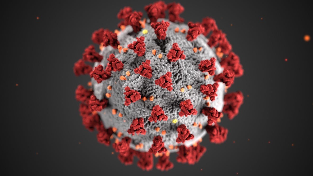 WOW 360|Women are more Immune to Coronavirus than Men? This Yale University Study Proves So!
