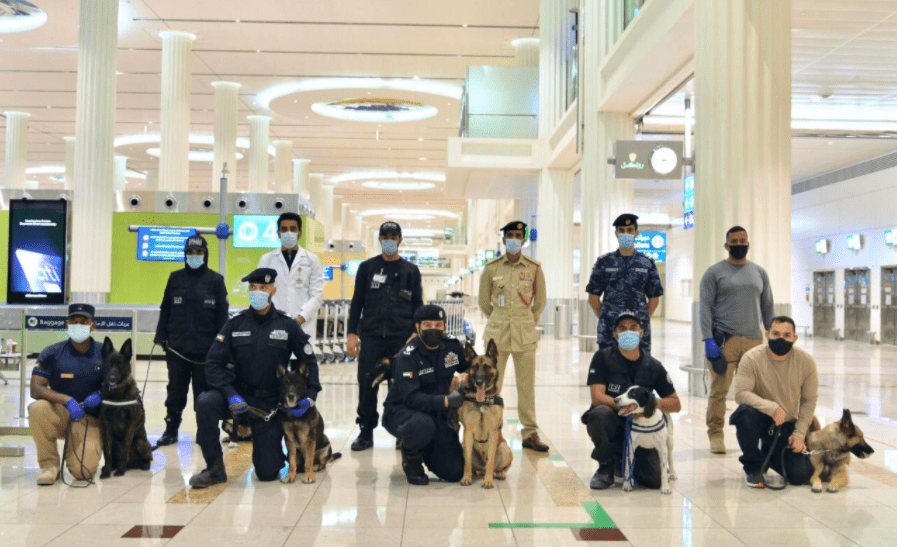 WOW 360|Dubai Becomes First to Deploy Sniff-Dogs for Coronavirus Detection at Airports