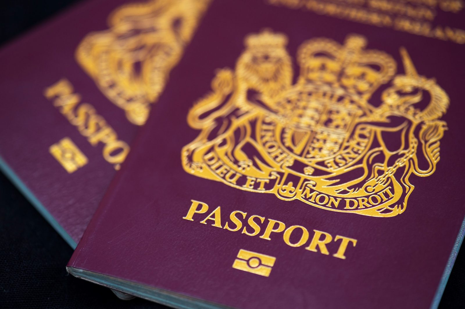 WOW 360|11 Interesting Facts that You Did Not Know About Passports!