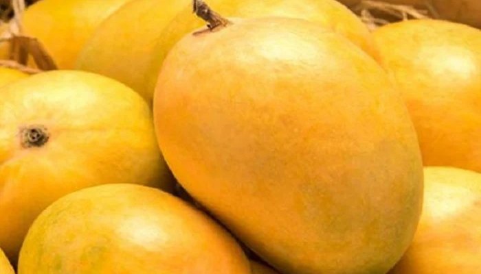 WOW 360|Why Mangoes from Pakistan are the Best, Here are 6 Kinds You Must Try!