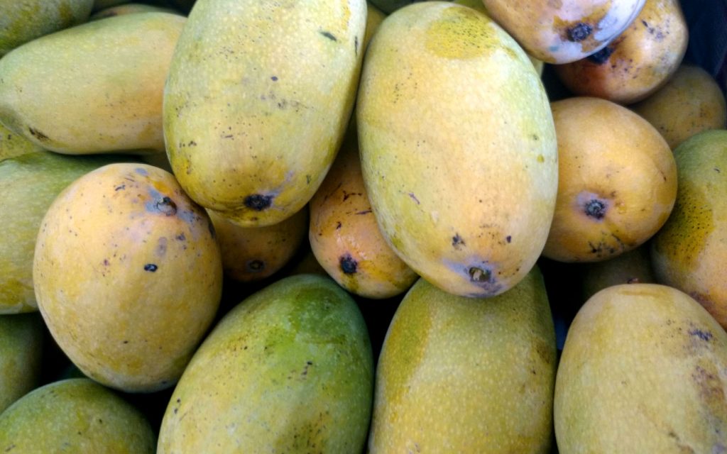WOW 360|Why Mangoes from Pakistan are the Best, Here are 6 Kinds You Must Try!