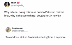 temu public reaction